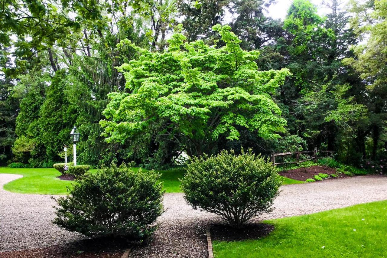 Lily Hill Vila Vineyard Haven Exterior foto