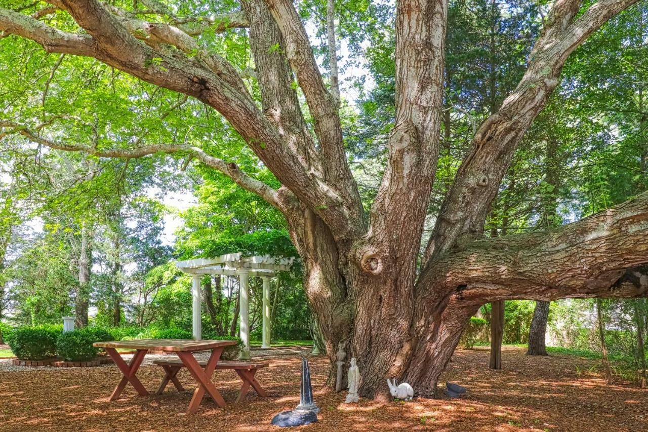 Lily Hill Vila Vineyard Haven Exterior foto